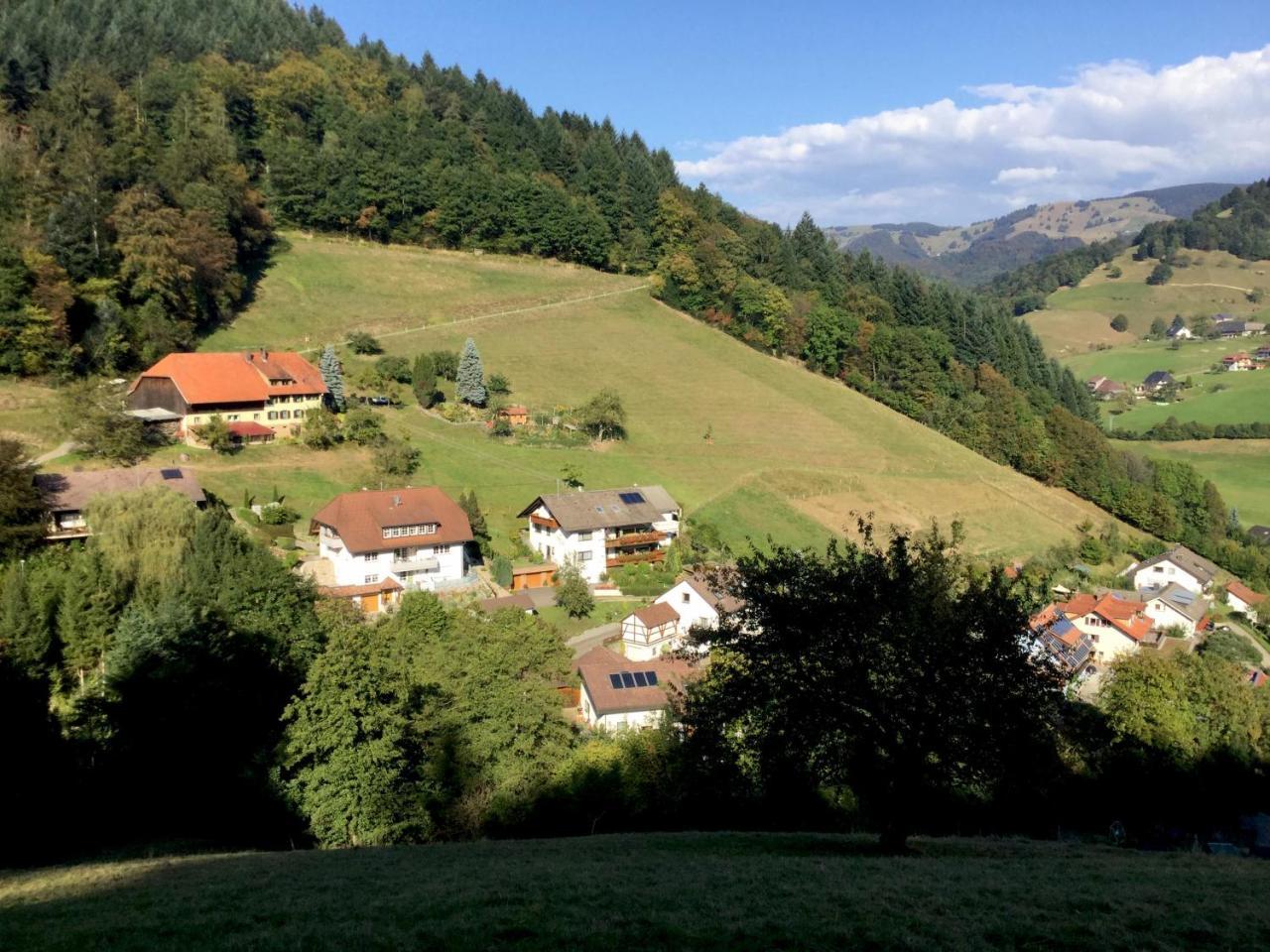 Erikas Haus Münstertal