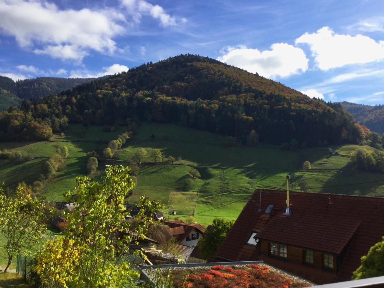 Erikas Haus * Münstertal